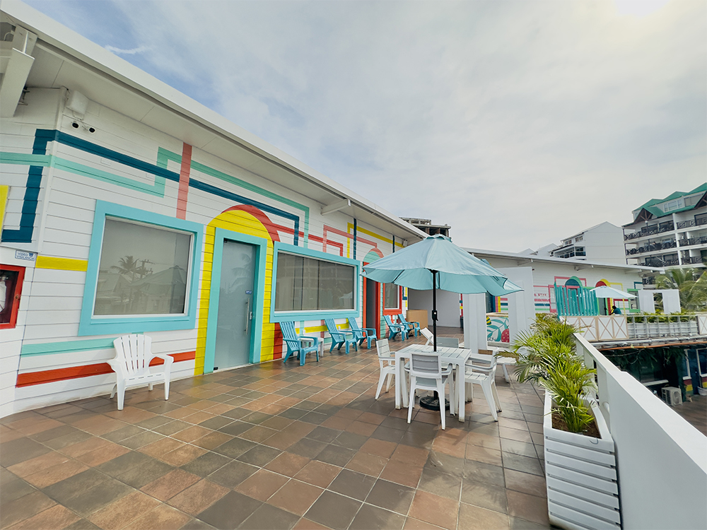 0. ZONAS COMUNES image00007 copia