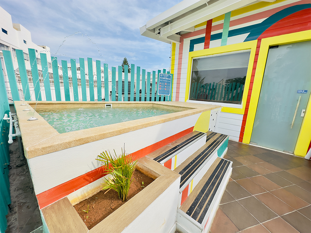 0. ZONAS COMUNES image00010 copia